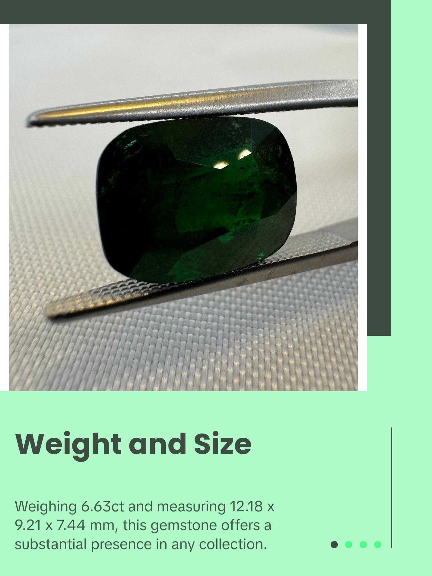 GIA certified Natural Tsavorite Garnet (Green) - 6.63ct - Rectangular Cushion