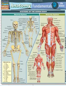 Anatomy Fundamentals: Life Science -- Vincent Perez, Poster