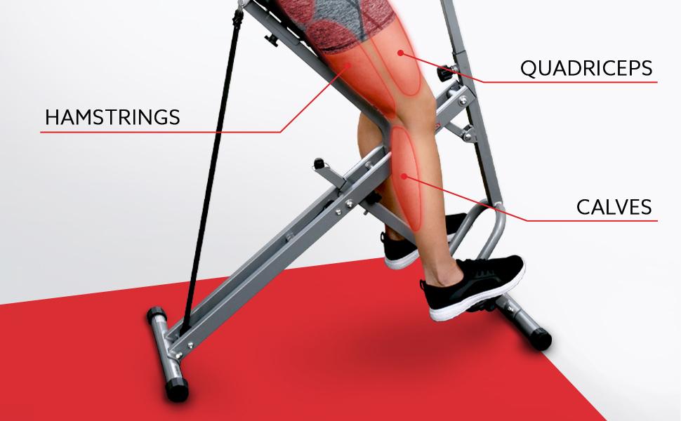 Sunny Health & Fitness Row-N-Ride Hybrid Rowing & Squat Machine Home Gym Workout Fitness Adjustable Resistance Compact Foldable Design 300 lbs Capacity