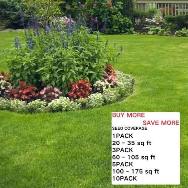 3000+ Premium Perennial grass Seeds – Fast-Growing, Thick, and Lush Lawn Grass for All Seasons