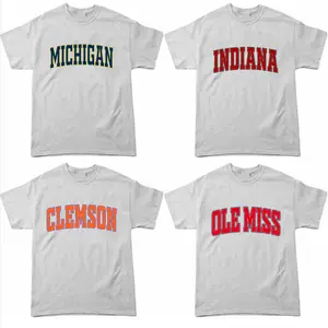 All Team Distressed Varsity College T-Shirt – Ash Grey, Custom Your Team, Classic Cotton Tee With A Vintage Athletic Look, Game Day Shirt, Gift for Fans