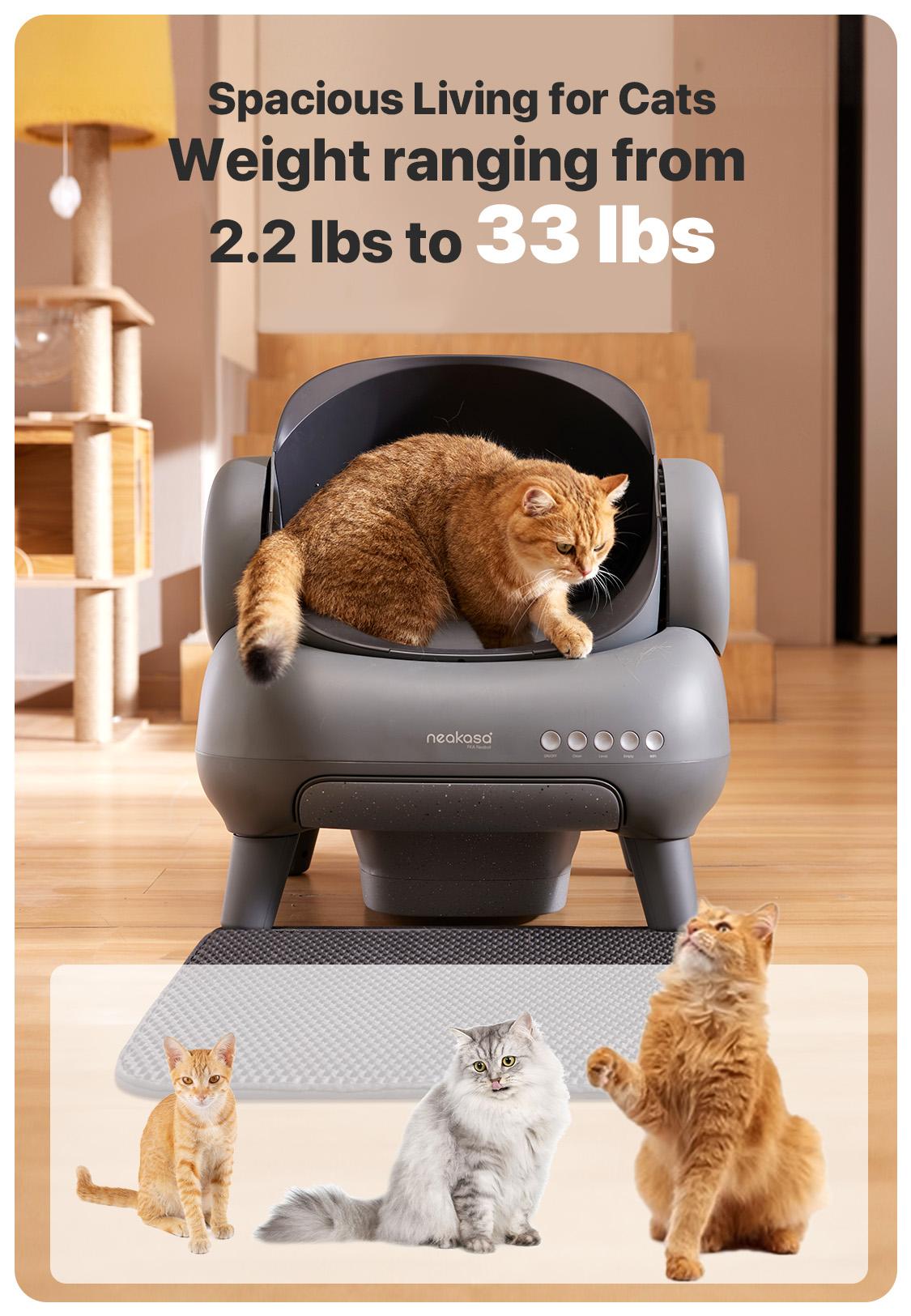 Neakasa M1 Open-top Self-cleaning Cat Litter Box with APP Control, Odor-Free Waste Disposal Includes Trash Bags, Great for cats up to 33 lbs