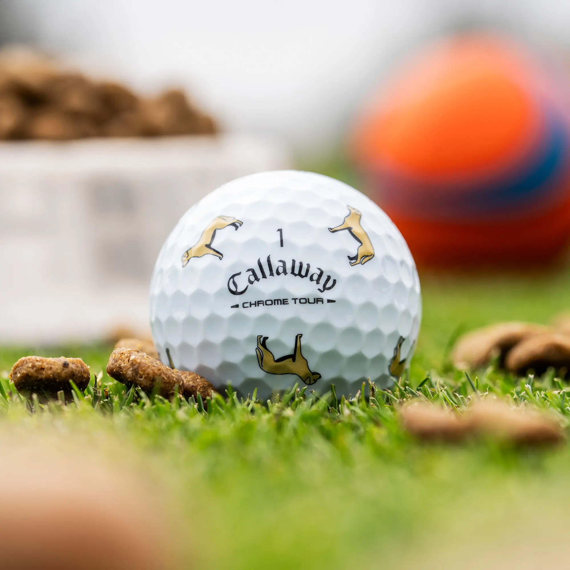 Callaway Golf Chrome Tour Yellow Lab Dog Golf Balls in White