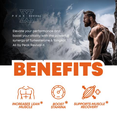 Peak Revival-X Turkesterone + Tongkat Ali + Colostrum – Testosterone, Muscle Growth & Energy Support – 60 Capsules Peak Revival-X Turkesterone + Tongkat Ali + Colostrum – Testosterone, Muscle Growth & Energy Support – 60 Capsules