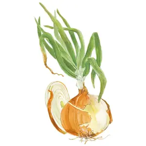 Yellow Granex PRR Bulb Onion Seeds