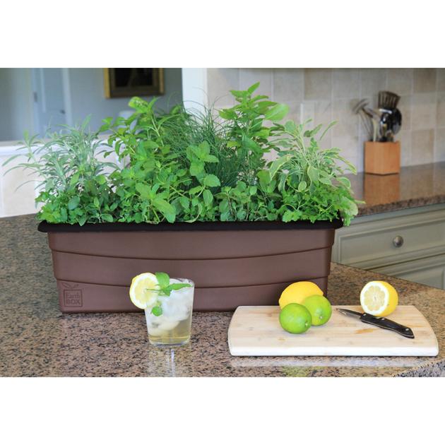EarthBox Junior Herb Planter Box with Essential Plant Food for Easy & Sustainable Gardening, Sub-Irrigated Planter