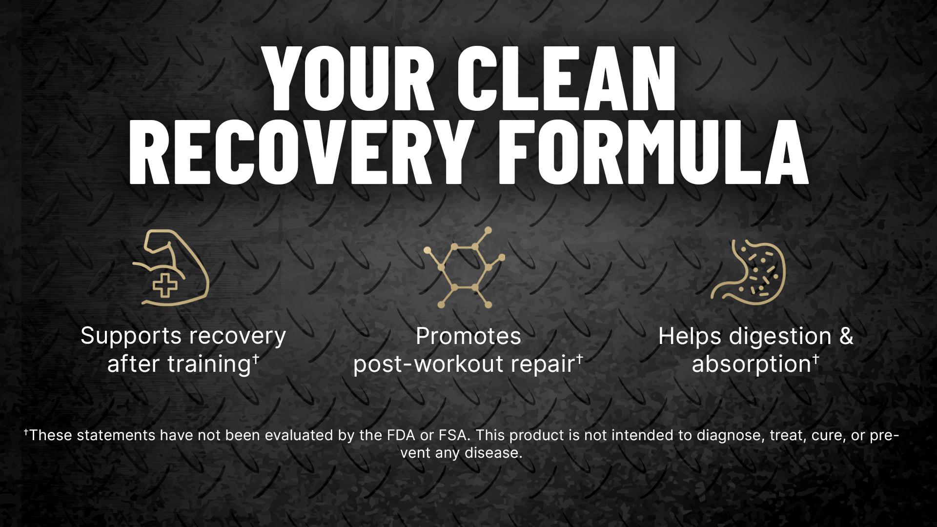 EHPlabs ISOPEPT Hydrolyzed Whey Protein Isolate 25g Post-Workout Recovery Formula Fast-Digesting Gluten-Free Low-Lactose Healthcare Supplement - Fitness