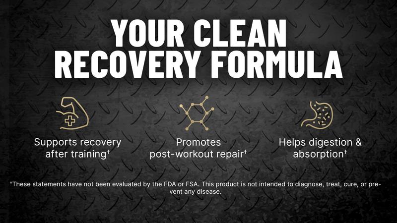 EHPlabs ISOPEPT Hydrolyzed Whey Protein Isolate 25g Post-Workout Recovery Formula Fast-Digesting Gluten-Free Low-Lactose Healthcare Supplement - Fitness | New Year New Me