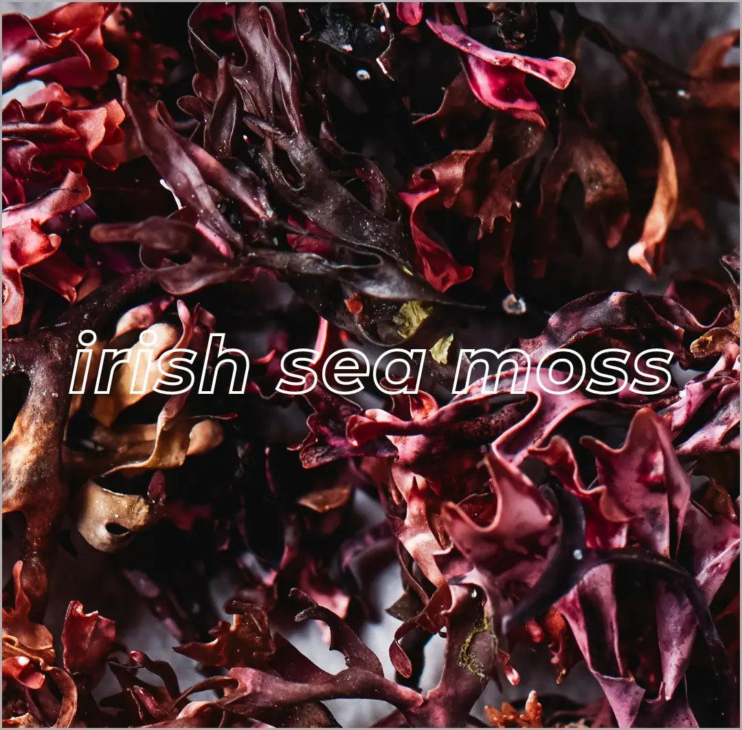 Irish Sea Moss Gel