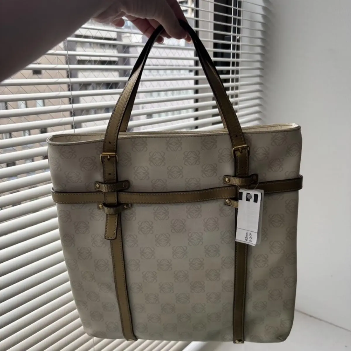 Pre-owned Loewe As Shown Shoulder Bags LB139669