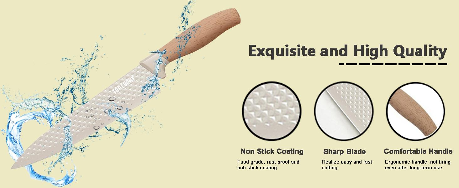 6-Piece Kitchen Knife Set with Block, Stainless Steel Dishwasher Safe - Ergonomic Handle Knives for Meat, Vegetables