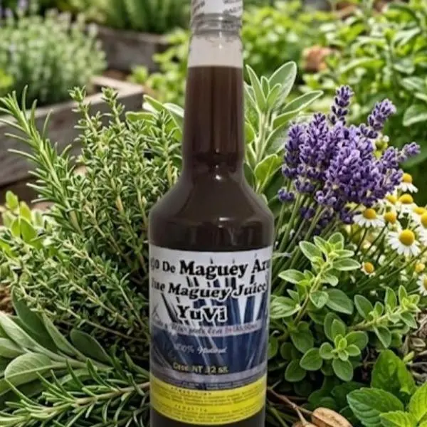 Jugo De Maguey (Maguey Juice) Yuvi 15 plantas 32 onz