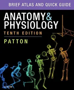 USED-ANATOMY+PHYSIOLOGY-BRF.ATLAS+QUICK GDE by Patton (Paperback)