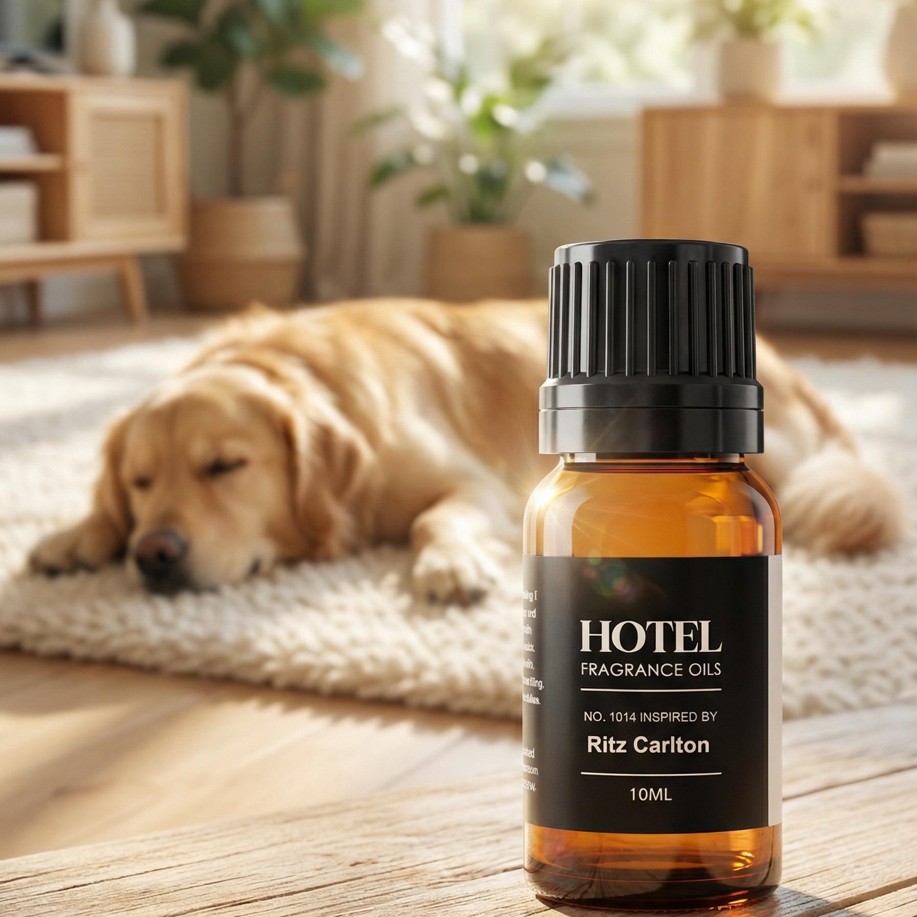 Household Lifestyle Store 2026 Ritz-Carlton Hotel Scent Diffuser Oil No. 1014 - Premium Fragrance Oil for Ultrasonic/Waterless Diffusers 10mL Glass Bottle Luxury Spa & Home Aroma