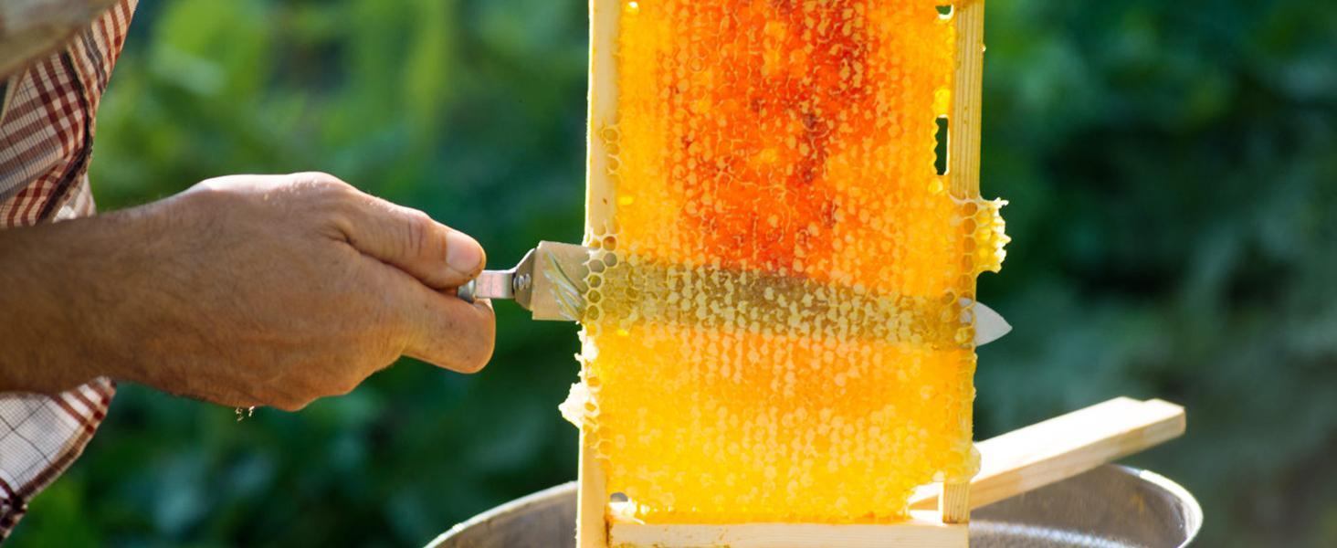 【Backtoschool】VEVOR Hand Crank Manual Honey Extractor, 3-Frame Stainless Steel Beekeeping Equipment, 39.3'' to 42.5'' Height-Adjustable Stand Honeycomb Drum Spinner with Lid for Kitchen, Basement Apiary Use, Adjustable Height, Manual Spin