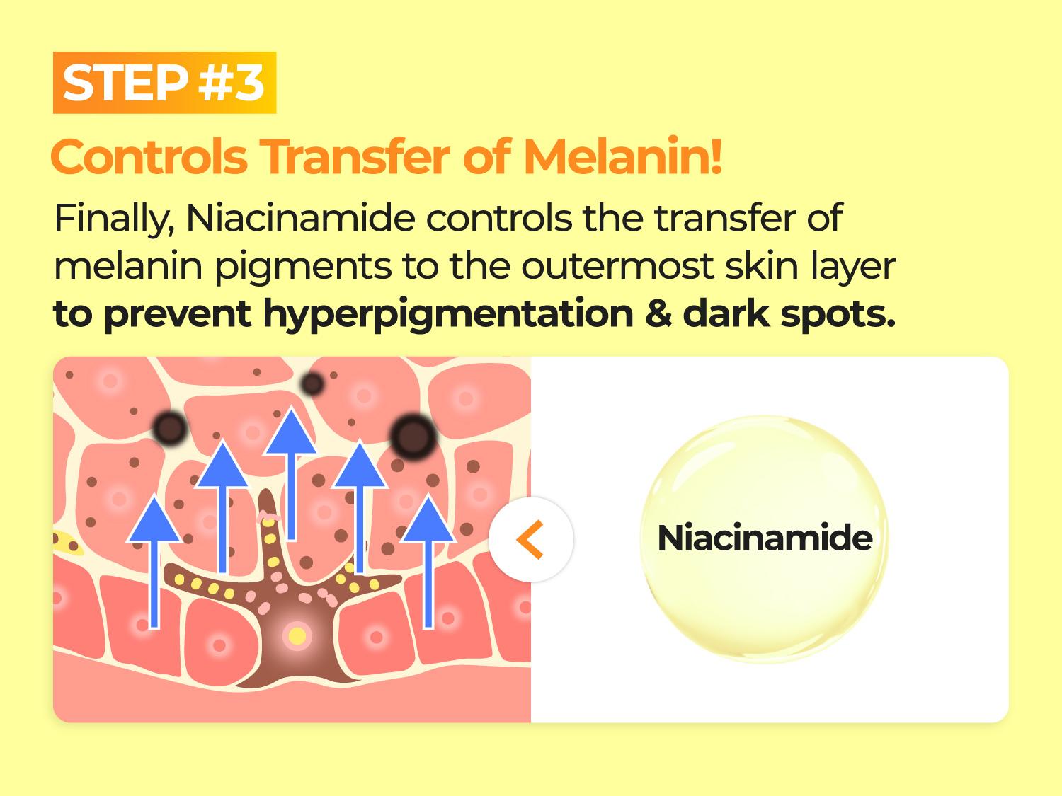 [numbuzin official shop] No.5 Toner | Vitamin Boosting Essential Toner | Improves Hyperpigmentation and Uneven Skin Tone | 6.76 fl. oz.