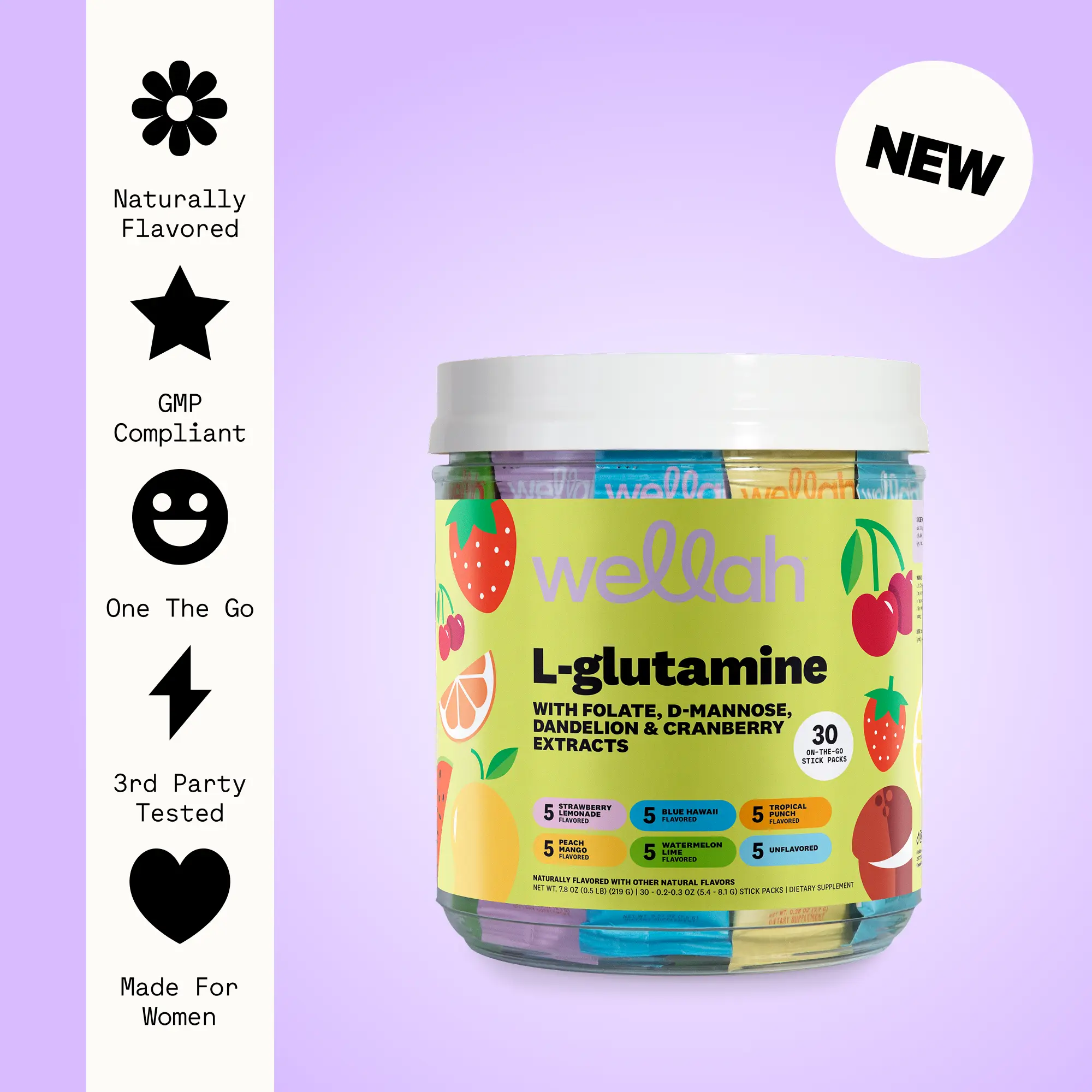 Wellah L-Glutamine Variety Pack | Gut Health Supplement | 5g L-Glutamine Per Serving | 30 Servings Healthcare Dietary Reduce Bloating Boost Digestion Healthy Immune Edible