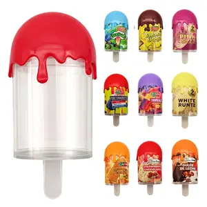 12 Pack Popsicle Style Plastic Storage Containers with Decorative Wrap Labels