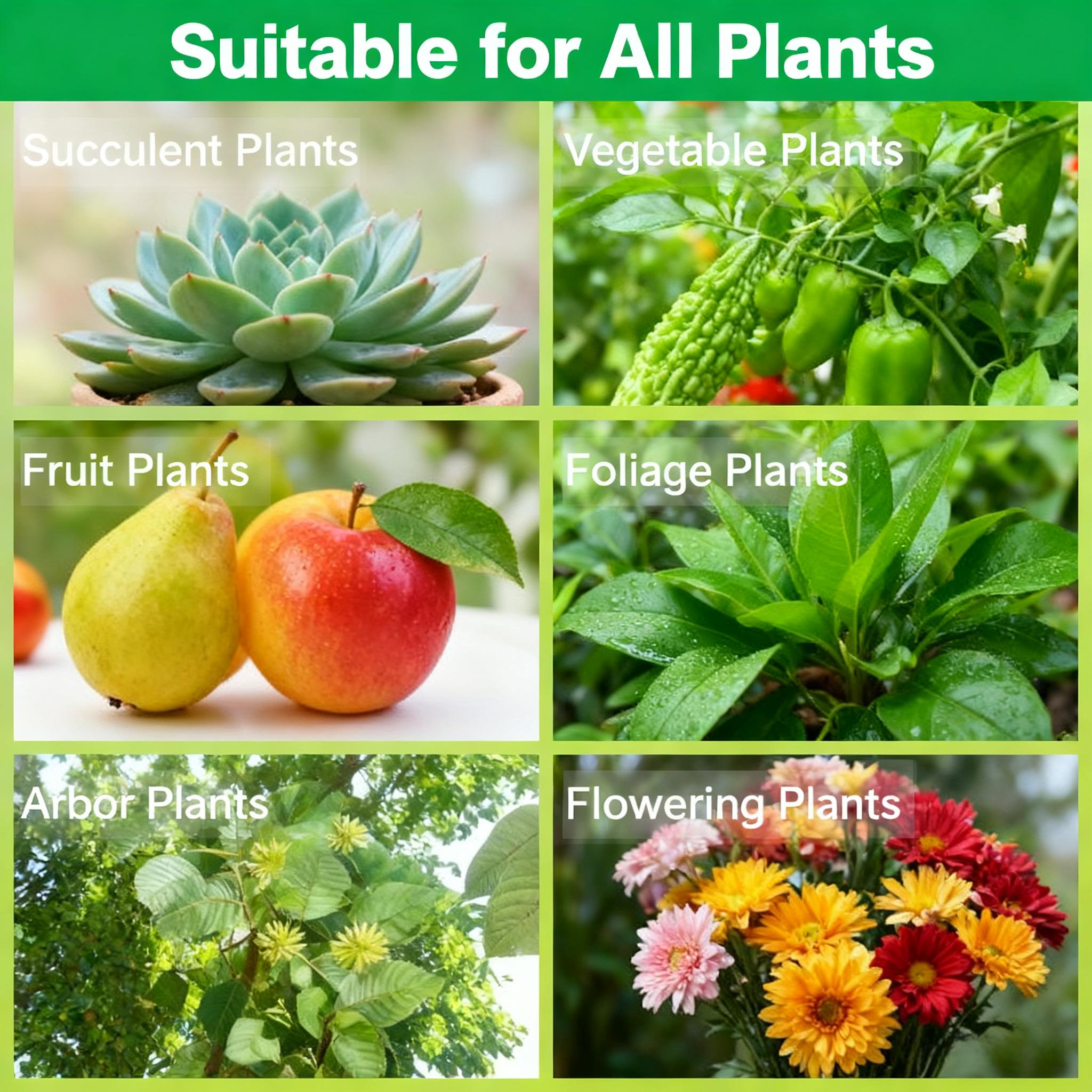 Plant Nutrient Solution – Liquid Fertilizer for Flowers, Vegetables & Indoor Plants Plant Nutrient Solution – Liquid Fertilizer for Flowers, Vegetables & Indoor Plants