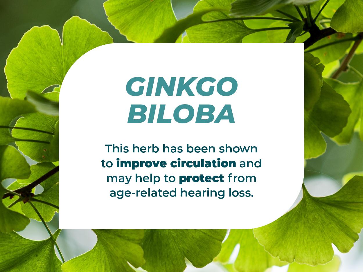 Hearing Support Formula by PUREHEALTH RESEARCH - Tinnitus Supplement with Flavonoids & Hearing Vitamins to Help Silence The Noise, Safely and Naturally - 120 Capsules Edible Dietary Healthcare Hearing Support Formula by PUREHEALTH RESEARCH - Tinnitus Supplement with Flavonoids & Hearing Vitamins to Help Silence The Noise, Safely and Naturally - 120 Capsules Edible Dietary Healthcare