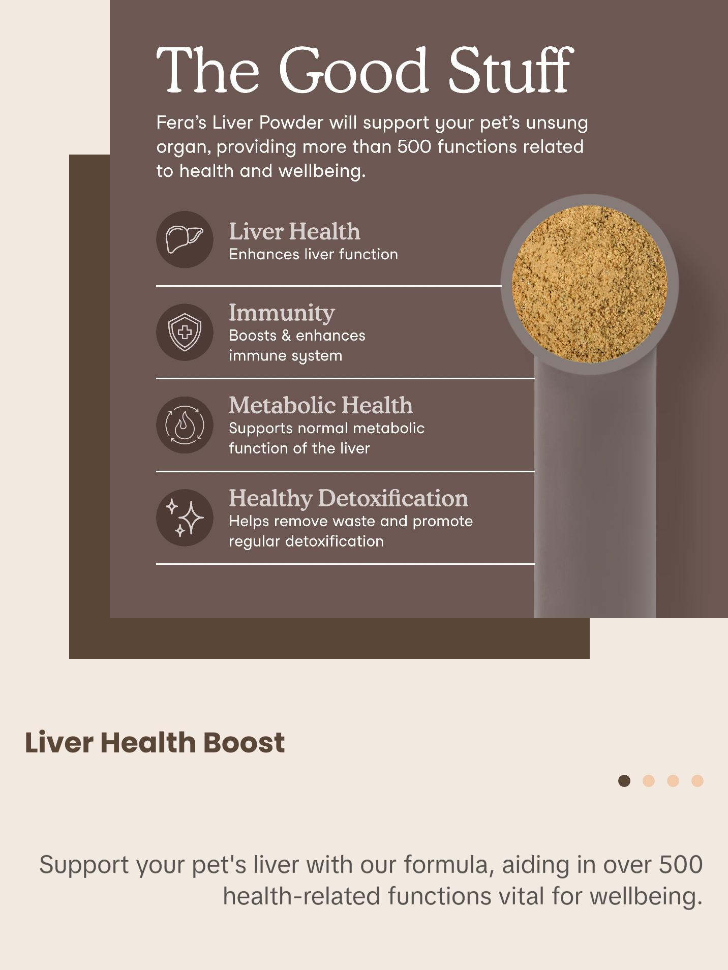 Liver Support for Dogs and Cats