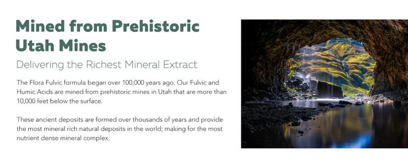 Flora Fulvic | Natural Trace Mineral Complex with Fulvic Acid & Humic Acid – 550 mg, Mined in Utah, Supports Gut Health & Digestion – 8 fl oz