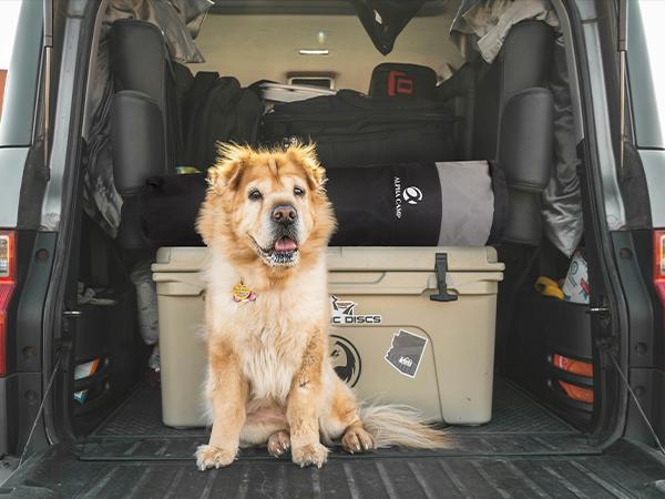 【Sophia&William】Oversized Camping Chair , 450LB Capacity with Cooler Bag,Heavy Duty Folding Outdoor Chair for Camping, Backyard & Tailgating