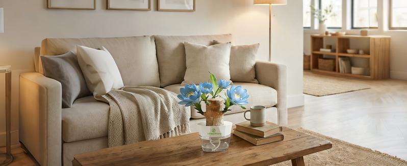 Brazilian Lucky Wood Live Plant - U.S. Grown with Nutrient Solution, Minimalist/Boho Indoor Desktop Ornament, Low-Maintenance Lucky Plant