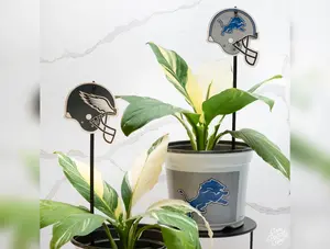 Detroit Lions 7.5 in Pots™ (Made in USA) 2pc/set