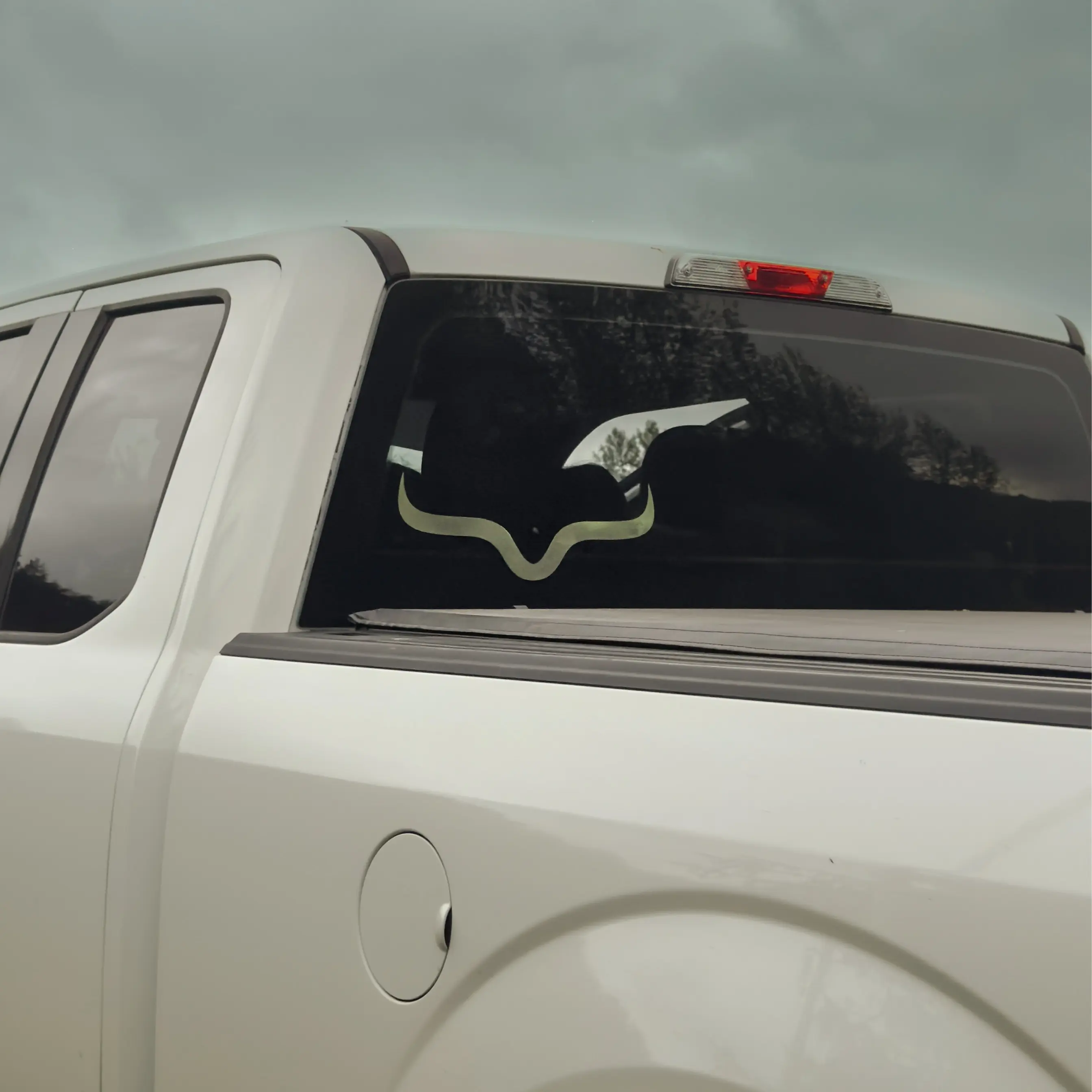 Longhorn Decal - High Quality Outdoor Vinyl