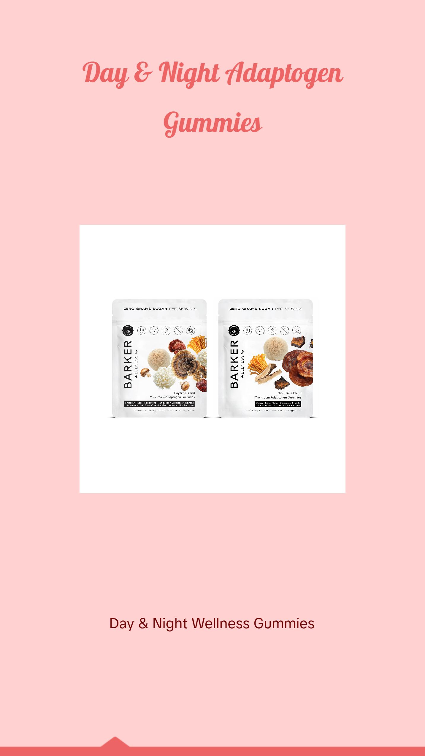 Day & Night Mushroom Adaptogen Duo Healthcare Natural Dietary Edible