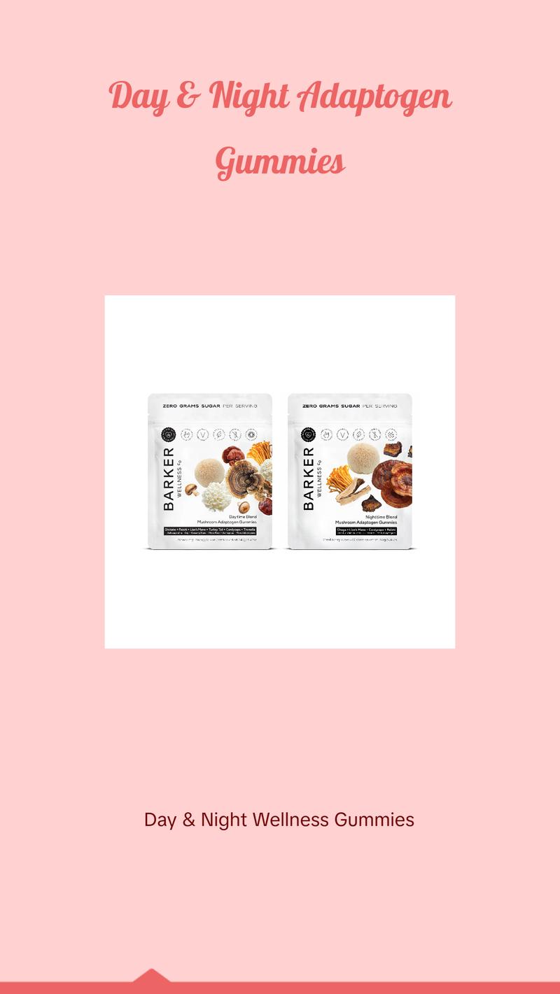 Day & Night Mushroom Adaptogen Duo Healthcare Natural Dietary Edible