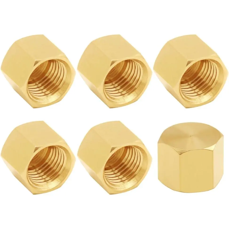 6PCS Brass 1/4-Inch NPT Female Hexagonal Threaded Pipe End Cap Plugs, Leakproof Fitting for Water/Oil, All-Season Use for Pumps & Plumbing Applications (No Leaks Ensured)