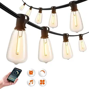 50FT Outdoor String Lights Plug-in with Remote 20 Shatterproof Edison Bulbs Includes 2 Spare Waterproof Patio Lights for Backyard Garden Porch Indoor Outdoor LED Fairy Lights with 4 Modes