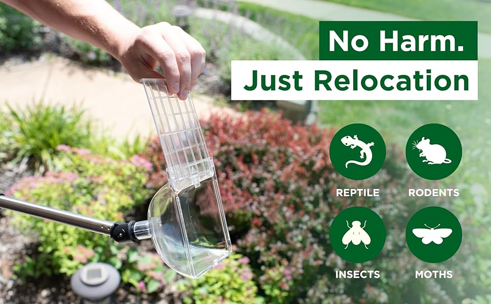 Bug Catcher Container & Extendable Stainless Steel Stick | See-Through Insect Trap for Spiders, Ants, Lizards | Humane Bug Catcher for Home | Educational Tool for Kids & Adults