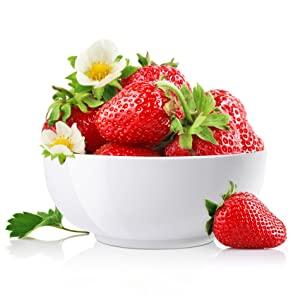 GARVEE 10 Ounce Porcelain Bowls Set 8 Pack Premium White Ceramic Bowls for Cereal, Soup, Salad, Pasta, Prep, Rice, Ice cream, Microwave & Dishwasher Safe GARVEE 10 Ounce Porcelain Bowls Set 8 Pack Premium White Ceramic Bowls for Cereal, Soup, Salad, Pasta, Prep, Rice, Ice cream, Microwave & Dishwasher Safe