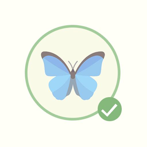 Peperomia Hope 'Peperomia tetraphylla'