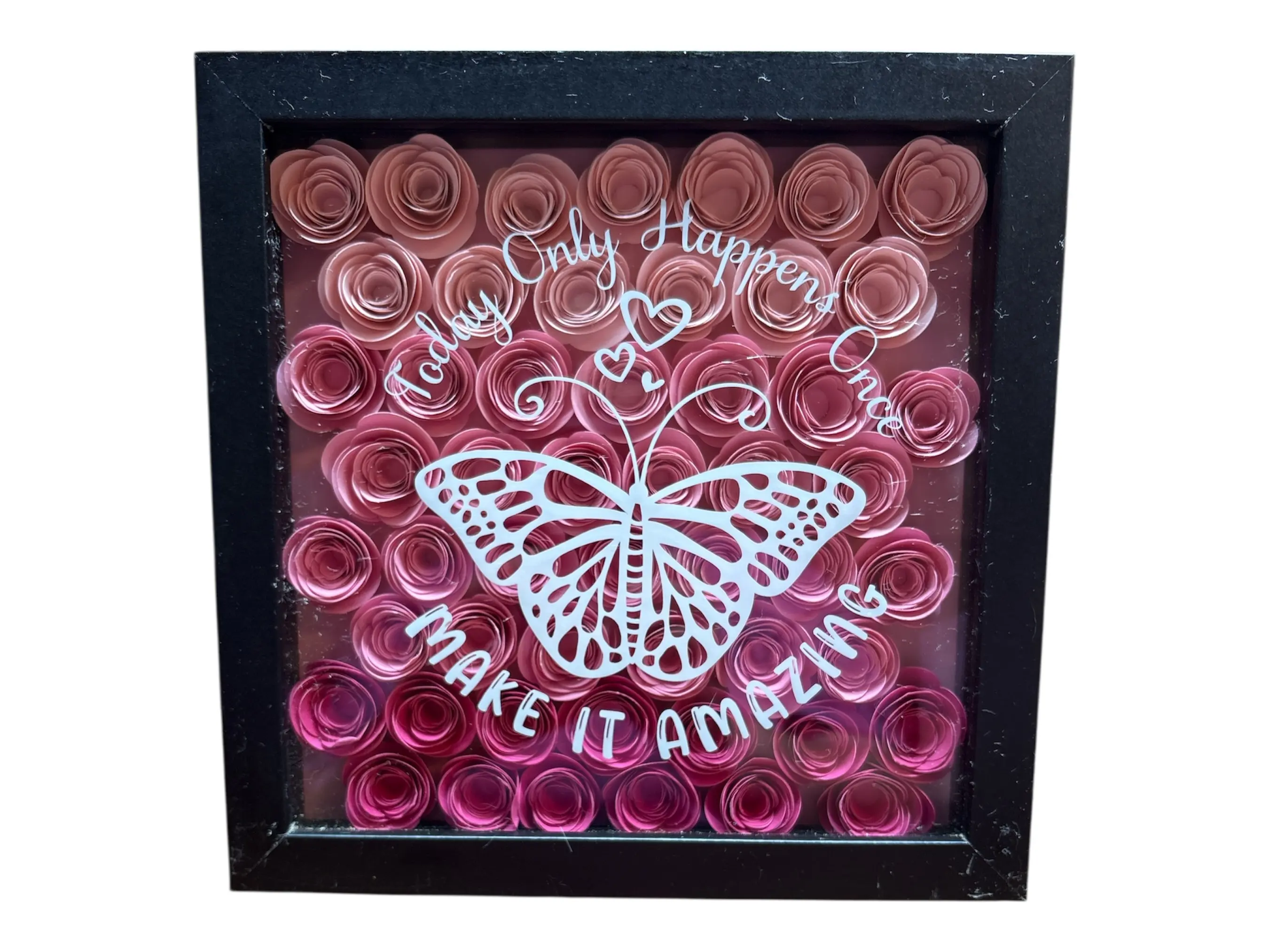 Butterfly shadow box