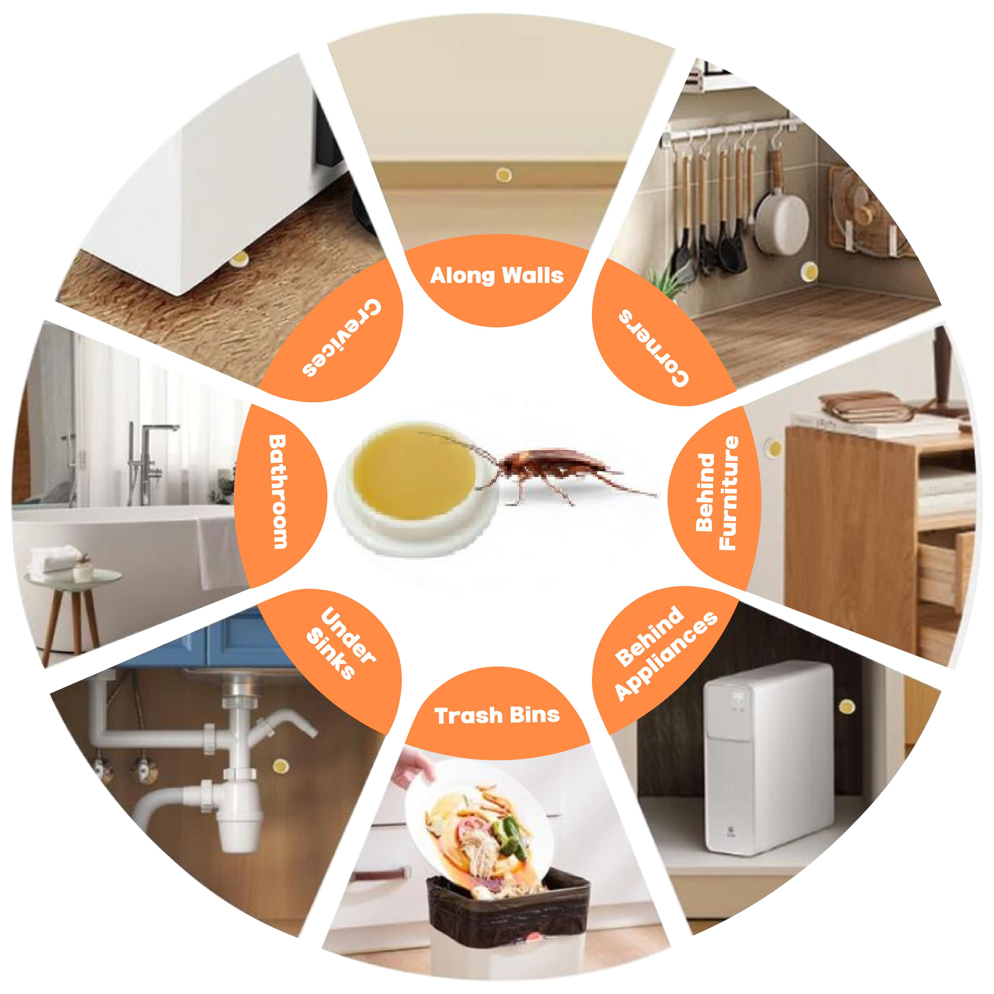 LENDOUYE: Indoor Pest Killing Products, Repellents, Indoor Traps, Insecticides, Bait Stations BD