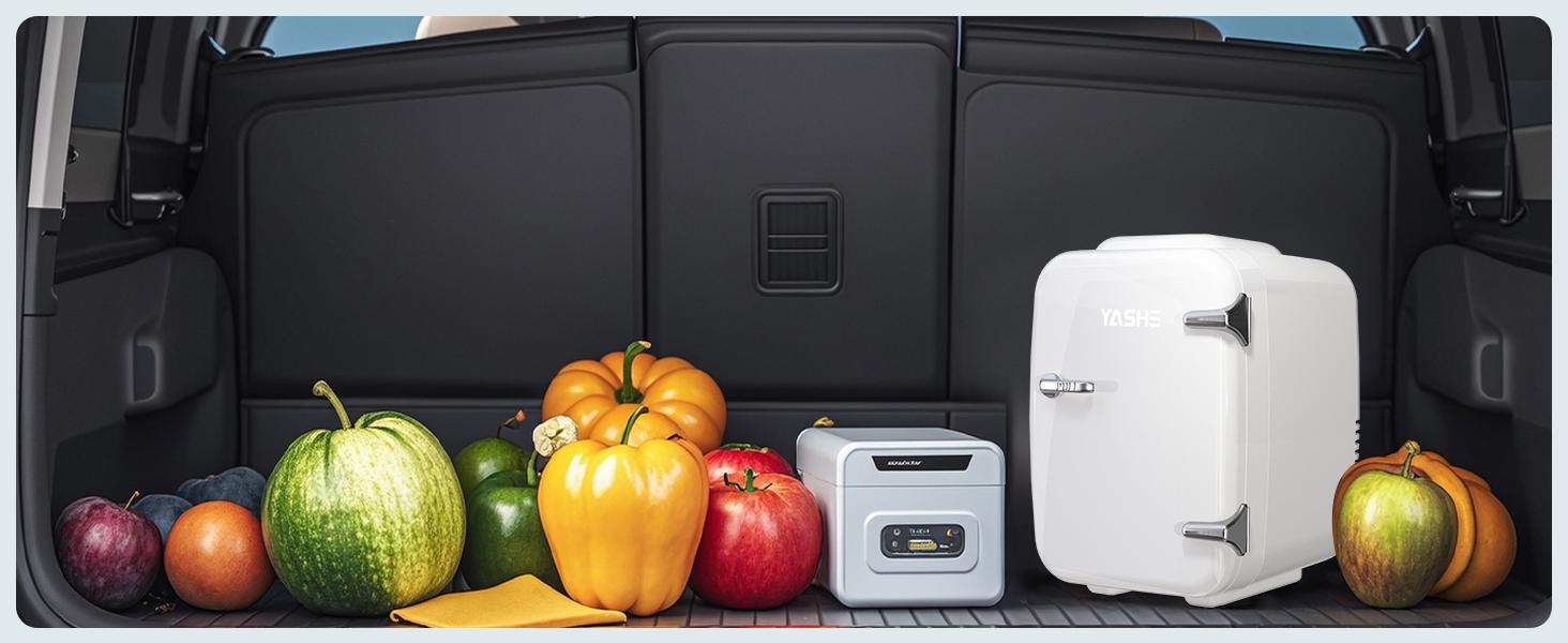 YASHE Mini Fridge/7 colours, 4 Liter/6 Cans Small Refrigerator for Skincare, 110V AC/ 12V DC Thermoelectric Cooler and Warmer for Bedroom, Office, Dorm, Car, Black mini fridge YASHE Mini Fridge/7 colours, 4 Liter/6 Cans Small Refrigerator for Skincare, 110V AC/ 12V DC Thermoelectric Cooler and Warmer for Bedroom, Office, Dorm, Car, Black mini fridge