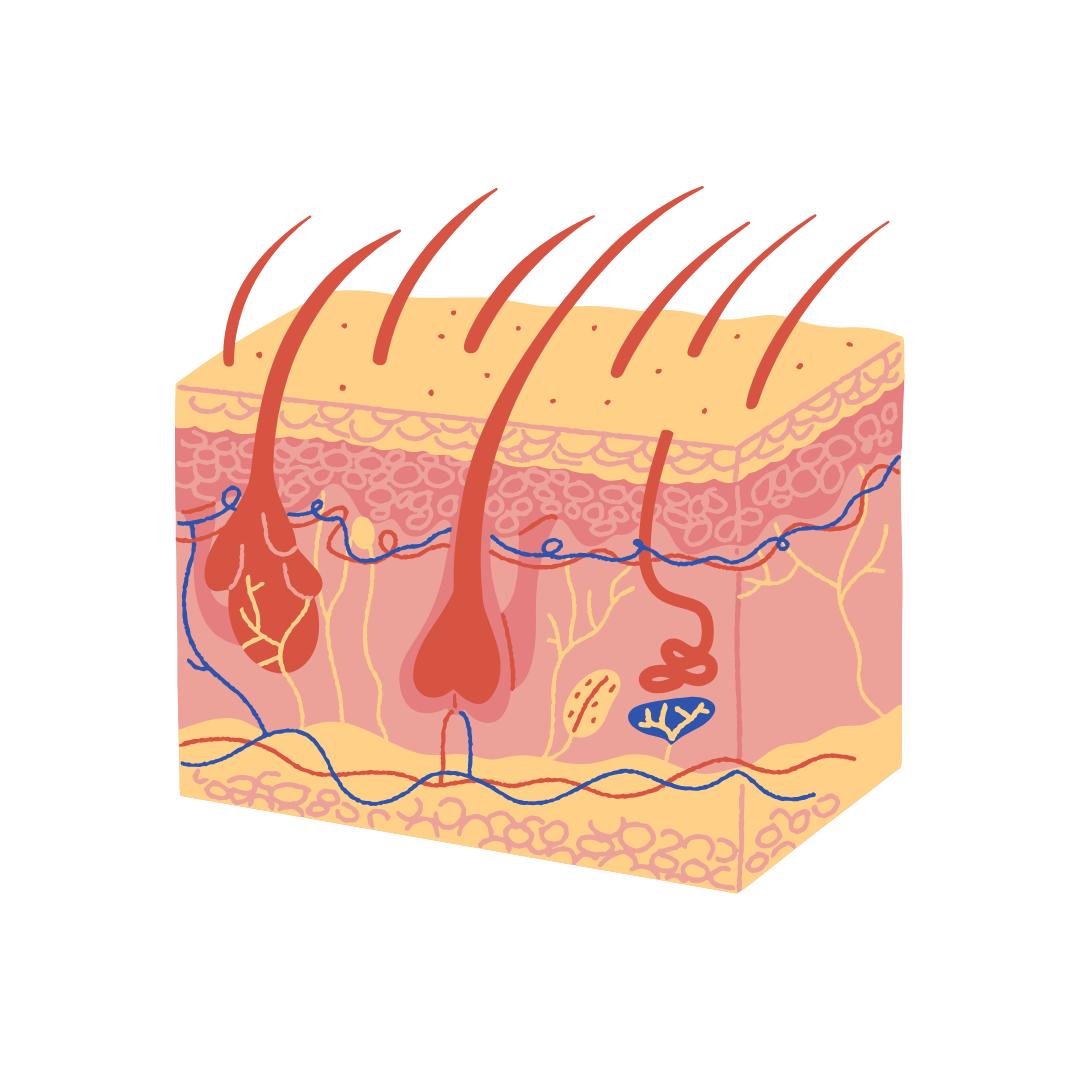 Replenish™ Conditioner – Hydrate & Grow