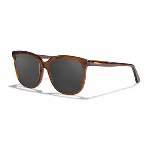 Dune Polarized Sunglasses - Shiny Coffee