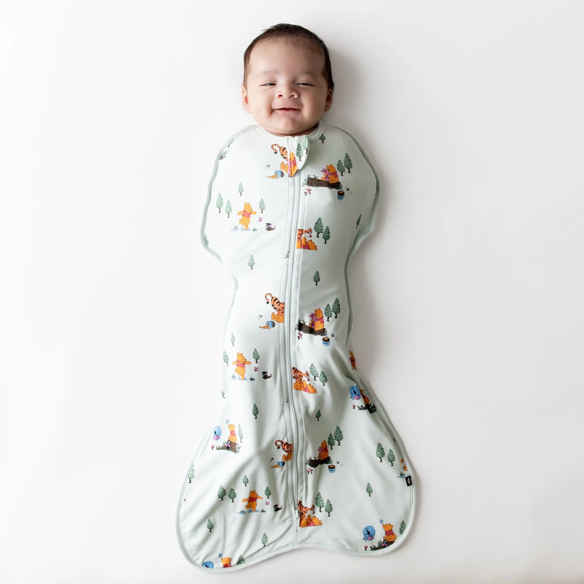 Swaddle Bag in Winnie the Pooh Hundred Acre Wood 0.5