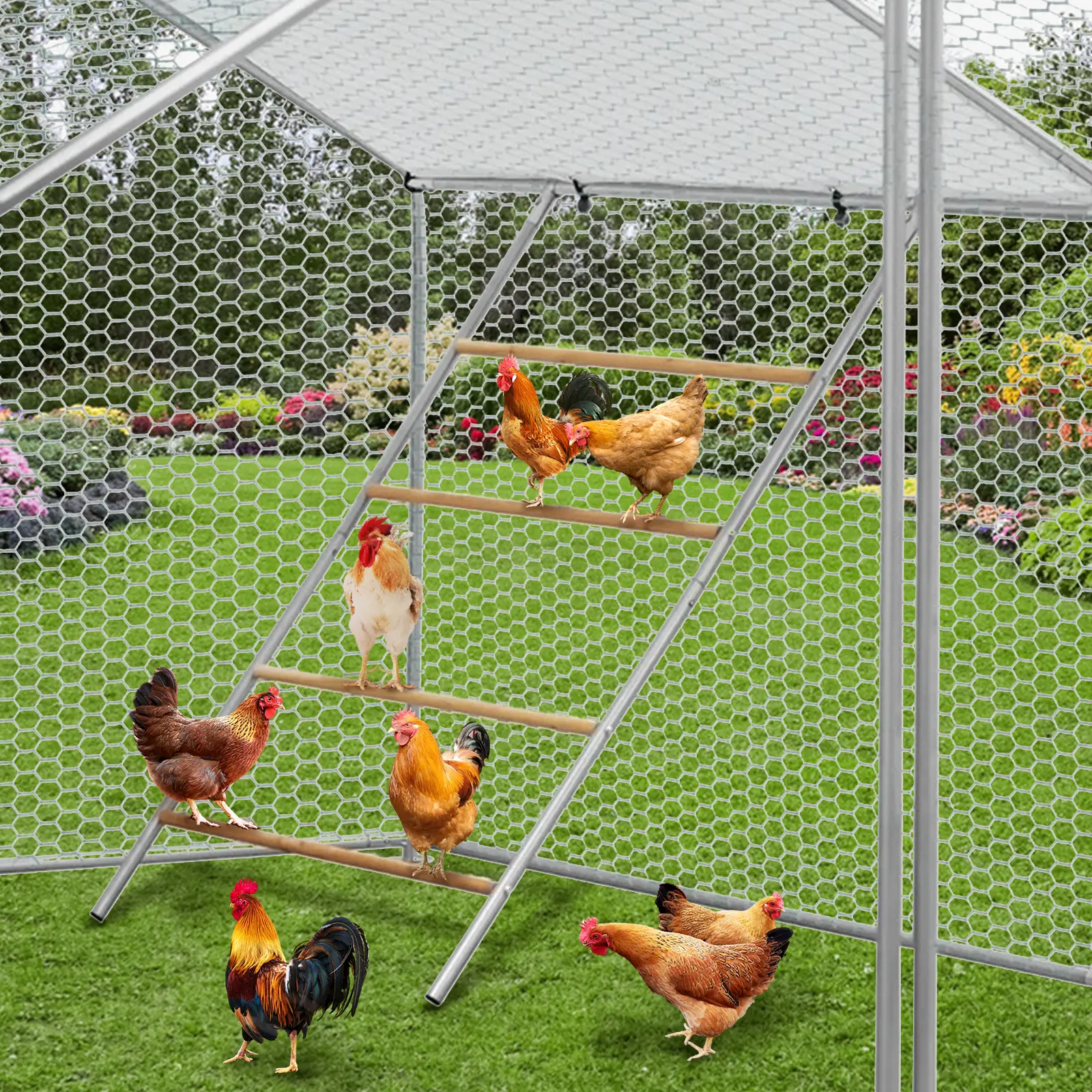 Garvee Upgraded Durable Chicken Roosting Bars and Ladder Perch for Coop – Easy to Assemble and Clean, Sturdy Backyard Poultry Accessory for Chickens, Ducks, Geese, and Pigeons