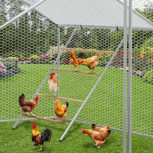 Garvee Upgraded Durable Chicken Roosting Bars and Ladder Perch for Coop – Easy to Assemble and Clean, Sturdy Backyard Poultry Accessory for Chickens, Ducks, Geese, and Pigeons