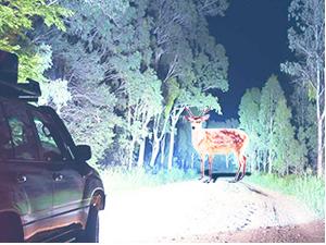 Nilight Headlight Assembly Compatible with 2009 2010 Toyota Corolla XLE/LE/Base Replacement Headlamp Black Housing Amber Reflector Driver and Passenger Side(Not fit S or XRS Trim)