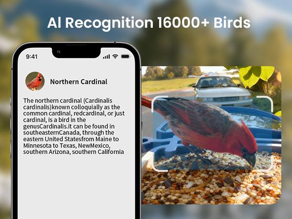 Smart Bird Feeder with Camera Series – AI-Powered, Solar, 2K/2.5K HD, Auto-Bird ID, Motion Alerts, Perfect Gift for Bird Lovers Smart Bird Feeder with Camera Series – AI-Powered, Solar, 2K/2.5K HD, Auto-Bird ID, Motion Alerts, Perfect Gift for Bird Lovers