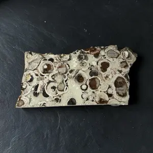 Beautiful natural polished money agate slab with stand 3lbs 3oz (1453g)