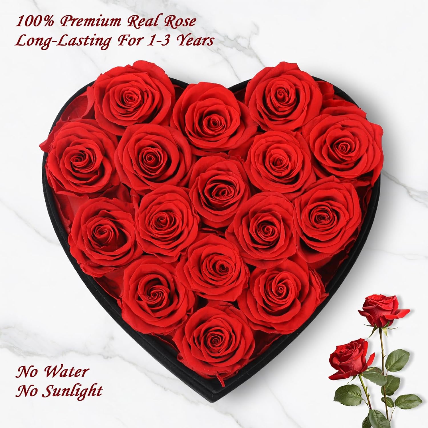 Luxury Forever Real Roses in Suede Box - 16-Piece Preserved Flowers Roses Gifts for Delivery Prime Birthday, Valentines's Day, Mother's Day,Anniversary, Graduation Gifts for Her (Red)