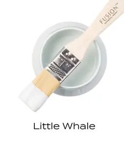 Little Whale - Fusion Mineral Paint - All in one paint